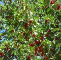 5eab944e7851aa0bbf9a084413cd3680