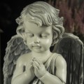 19205efd5bd1775c6c4a09351dfa90dd