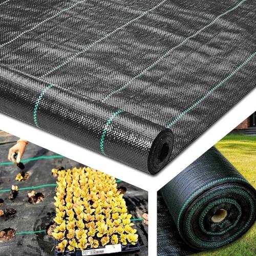 agro (8).jpg