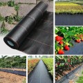 agro (11).jpg