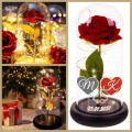 500ee257f615fdf31e68cad116326016