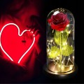 92adad4d8163906fa599b61b3960ae8f