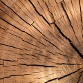 DREWNIANY GRZEBIEŃ DO WŁOSÓW Z RĄCZKĄ ANTYSTATYCZNY Naturalny Poręczny 18cm