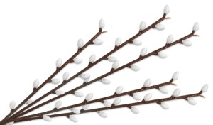 GAŁĄZKI BAZIE WIELKANOCNE 33 CM DO OZDÓB